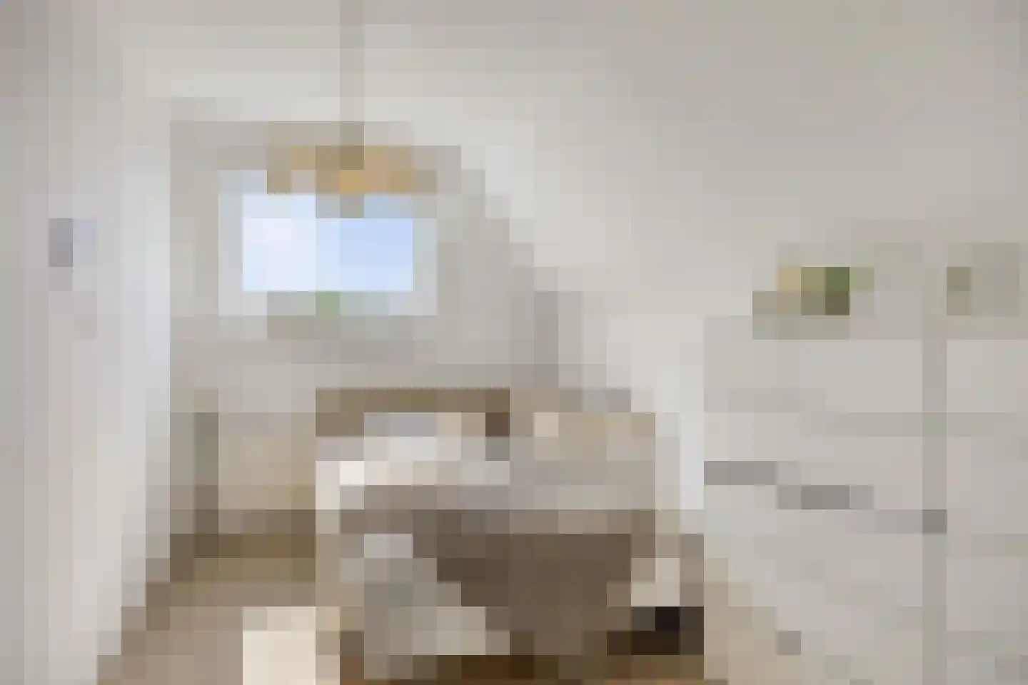 Botervatsteeg 7 Kampen thumbnail 40
