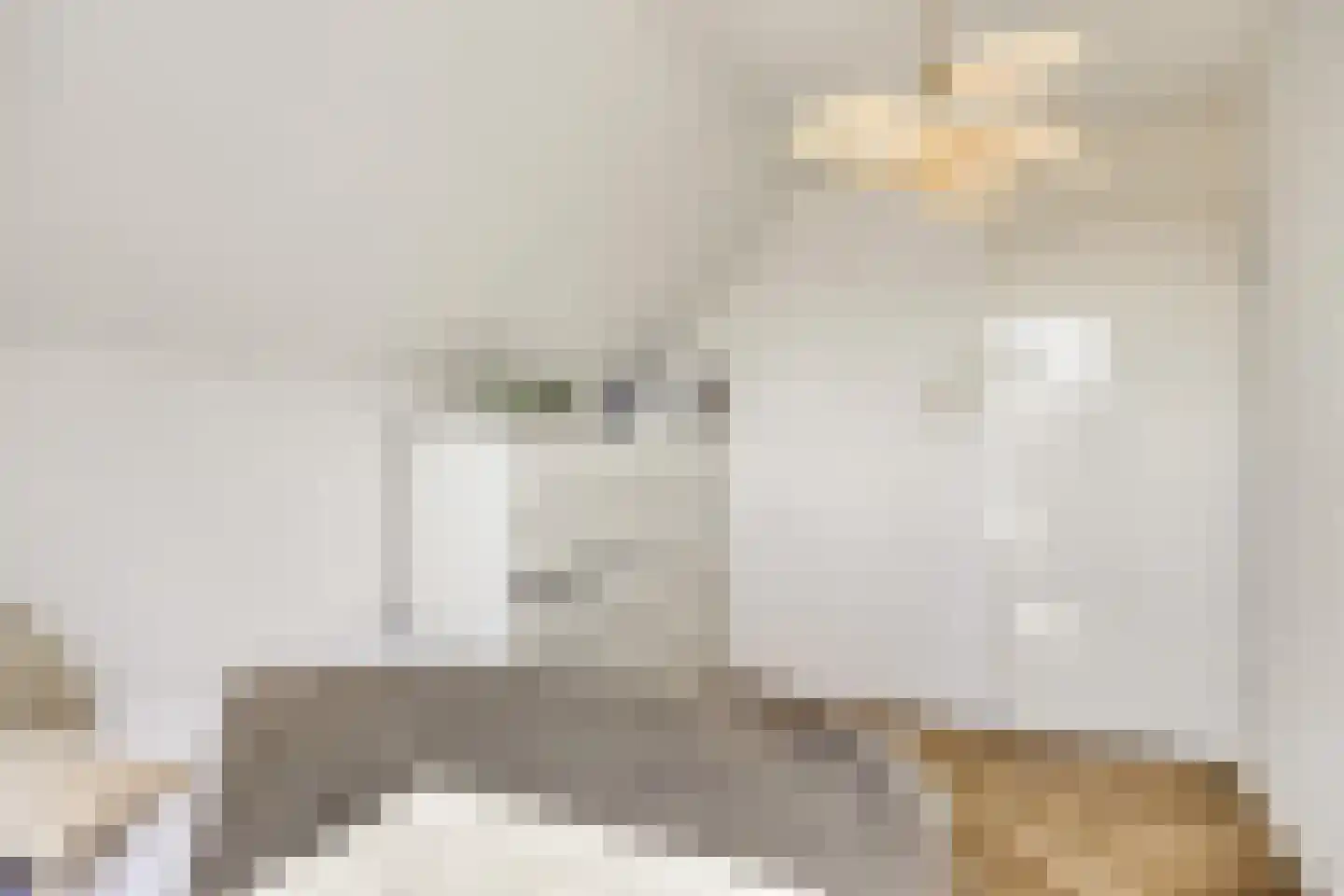 Botervatsteeg 7 Kampen thumbnail 41