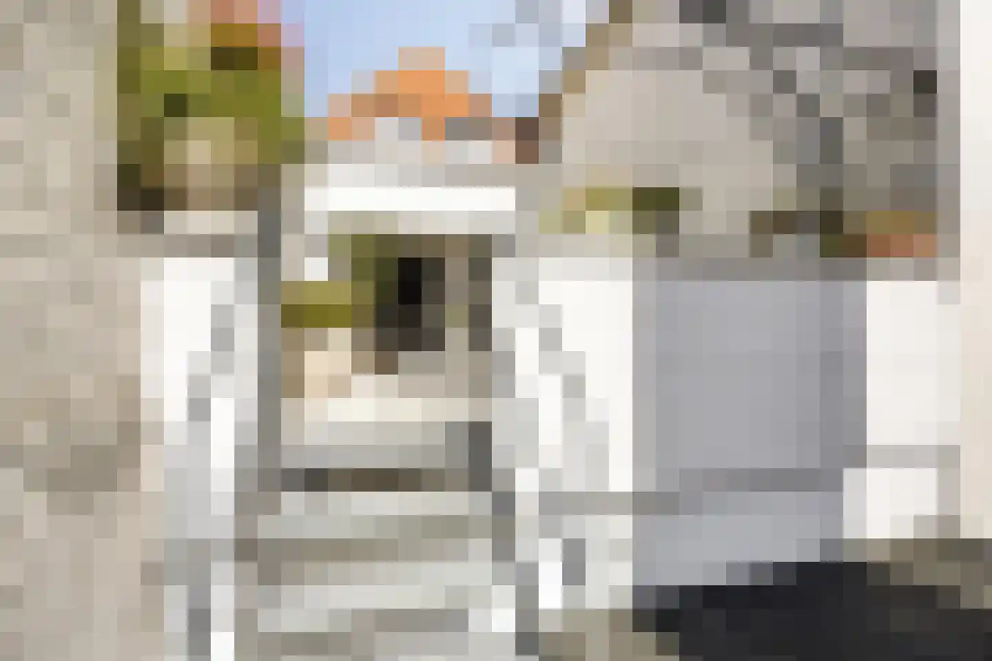 Botervatsteeg 7 Kampen thumbnail 43