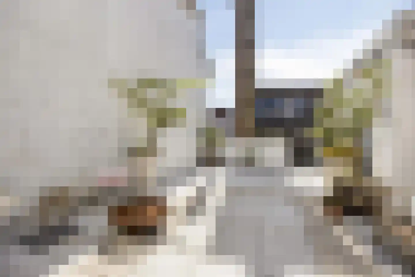 Botervatsteeg 7 Kampen thumbnail 47
