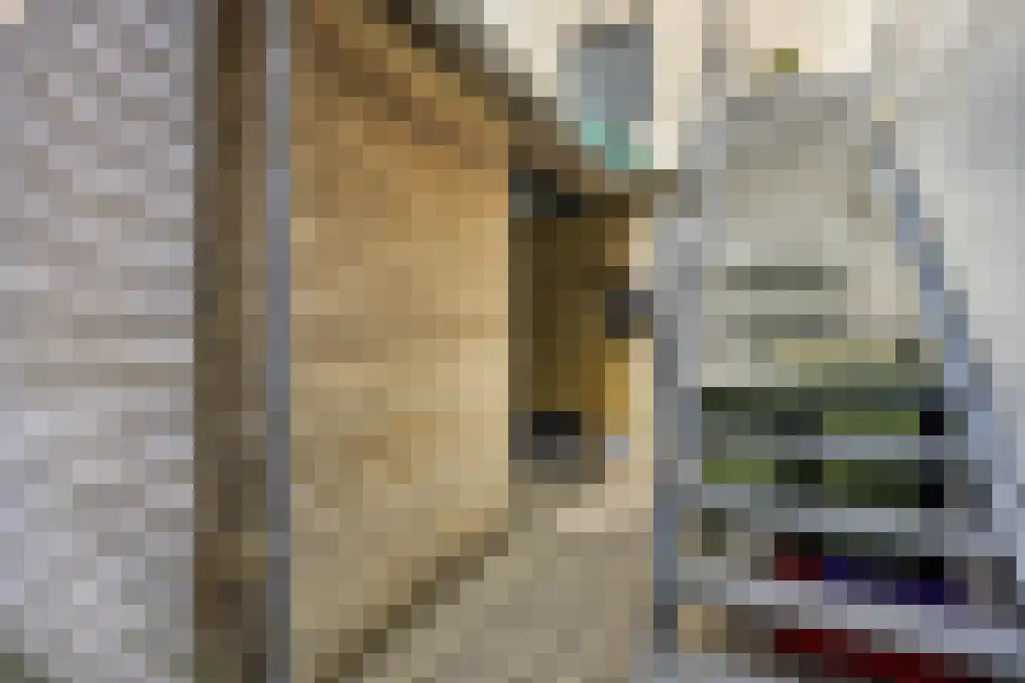 Botervatsteeg 7 Kampen thumbnail 49