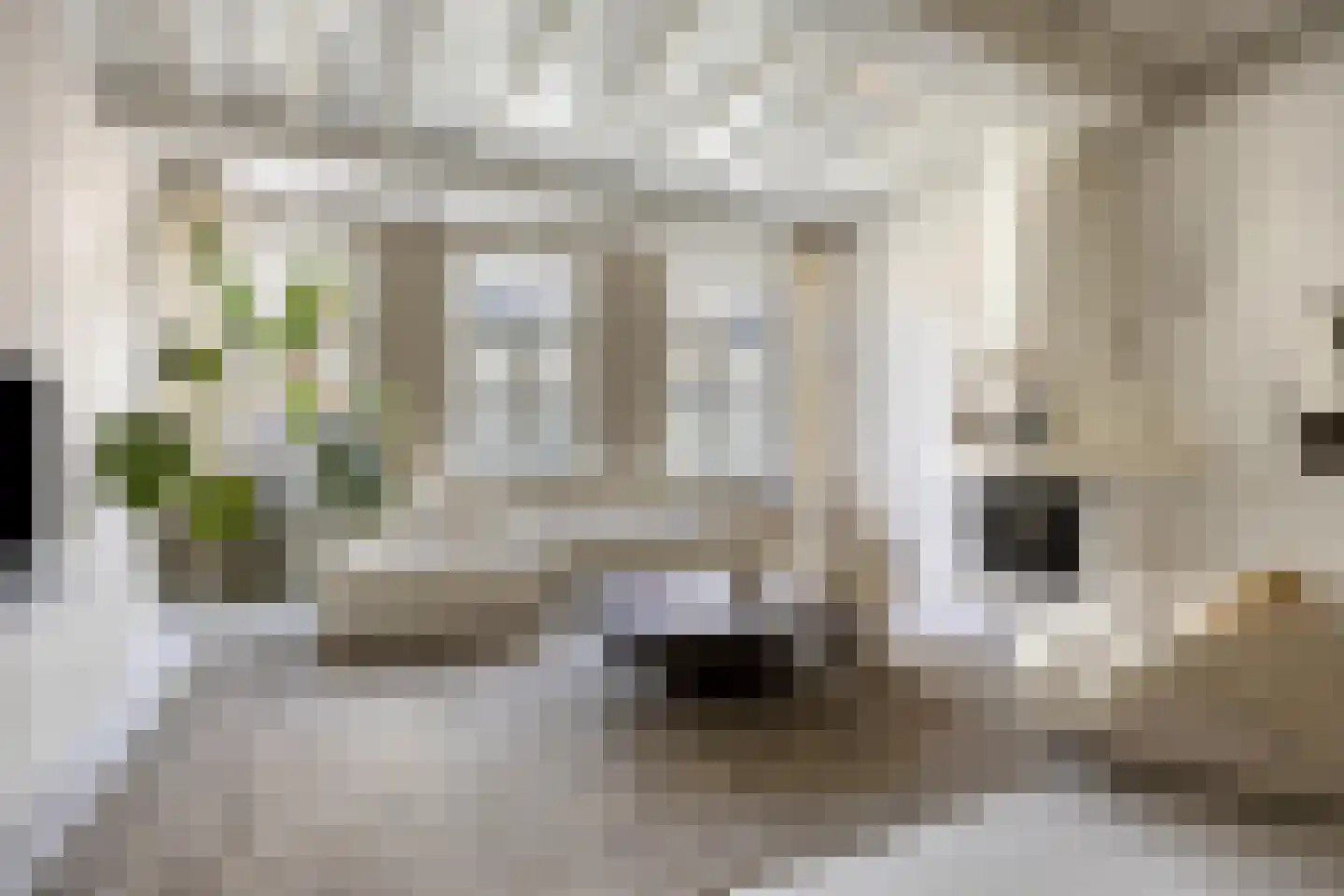 Botervatsteeg 7 Kampen thumbnail 5
