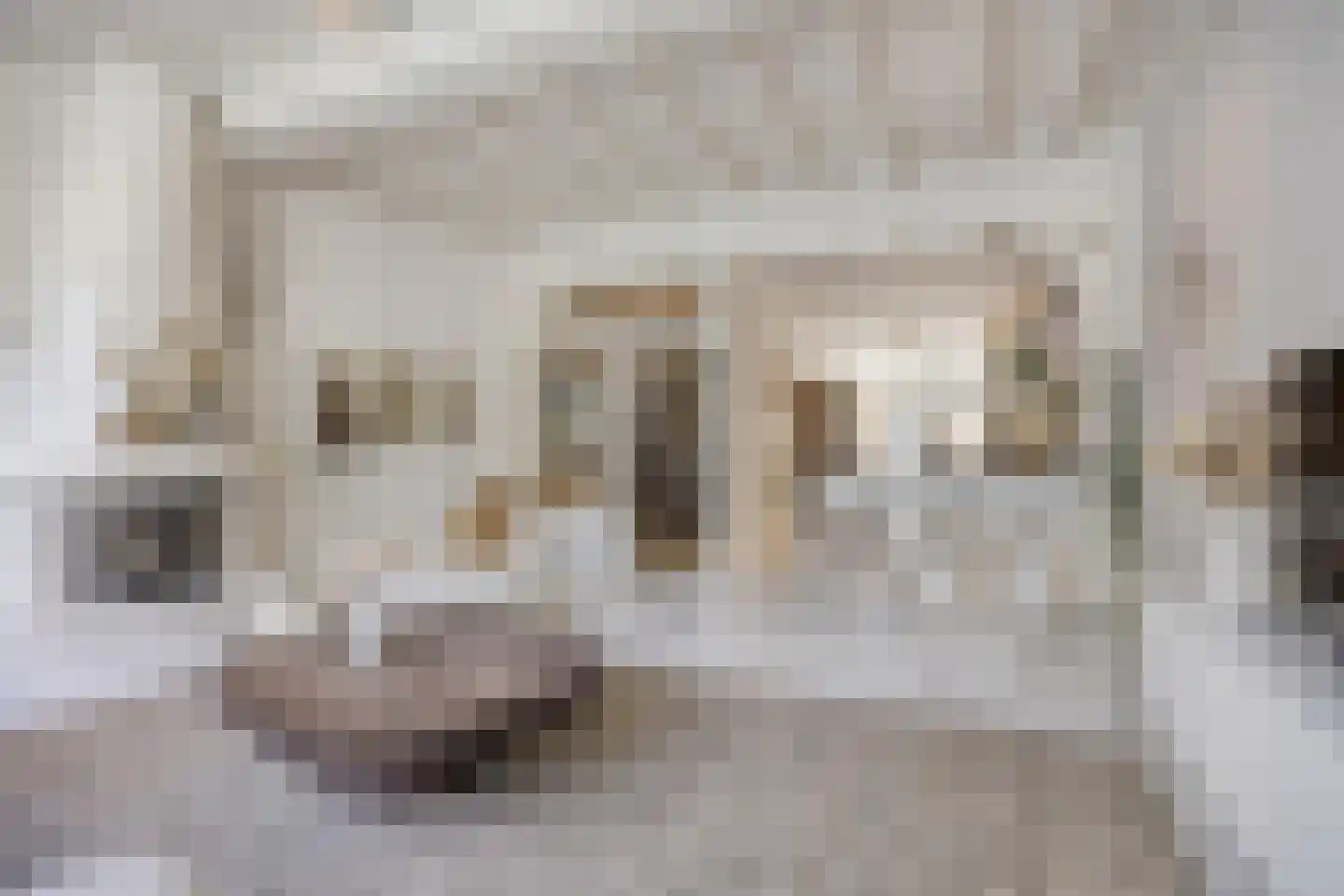 Botervatsteeg 7 Kampen thumbnail 9