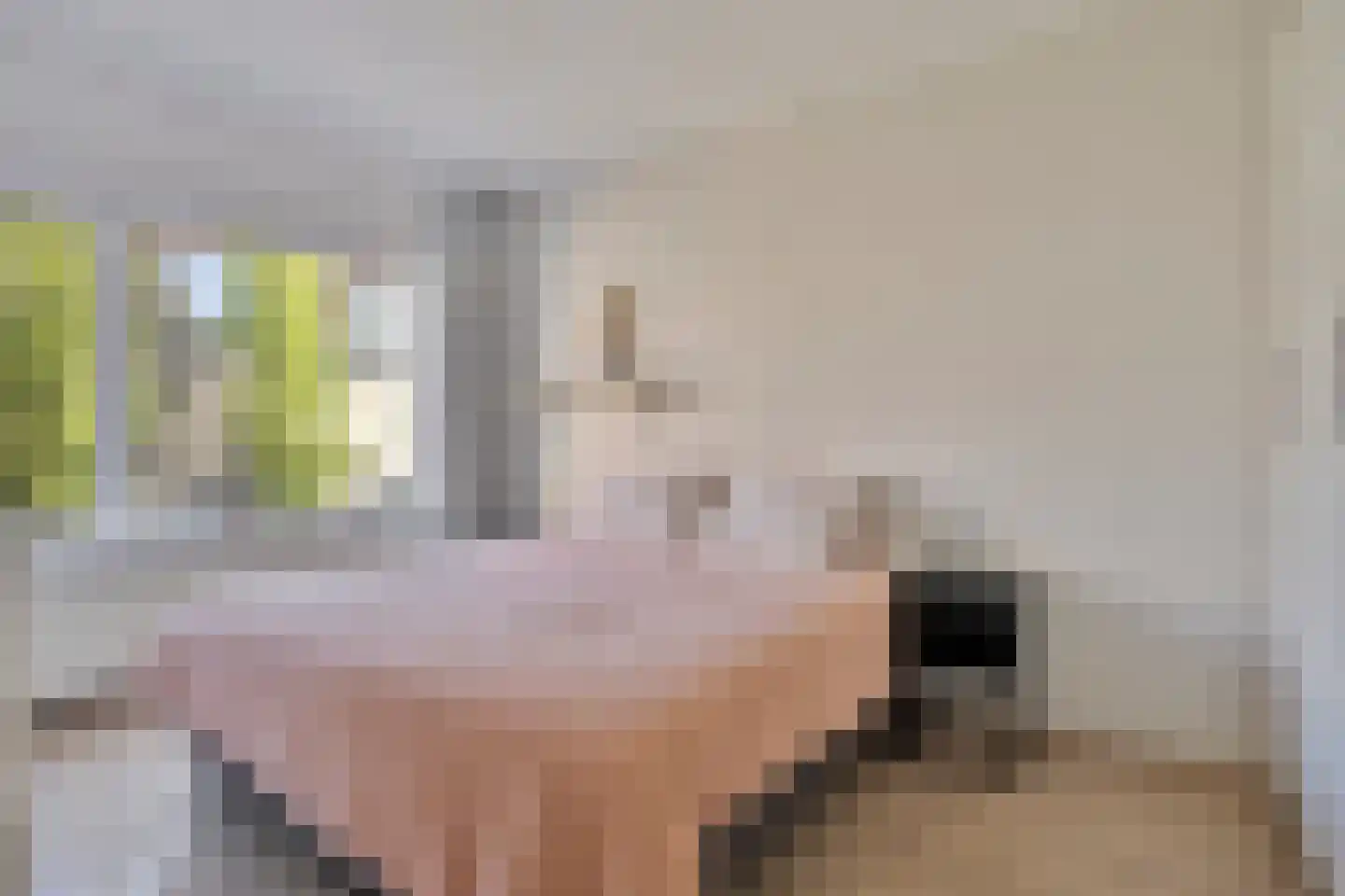 Botervatsteeg 8 Kampen thumbnail 31