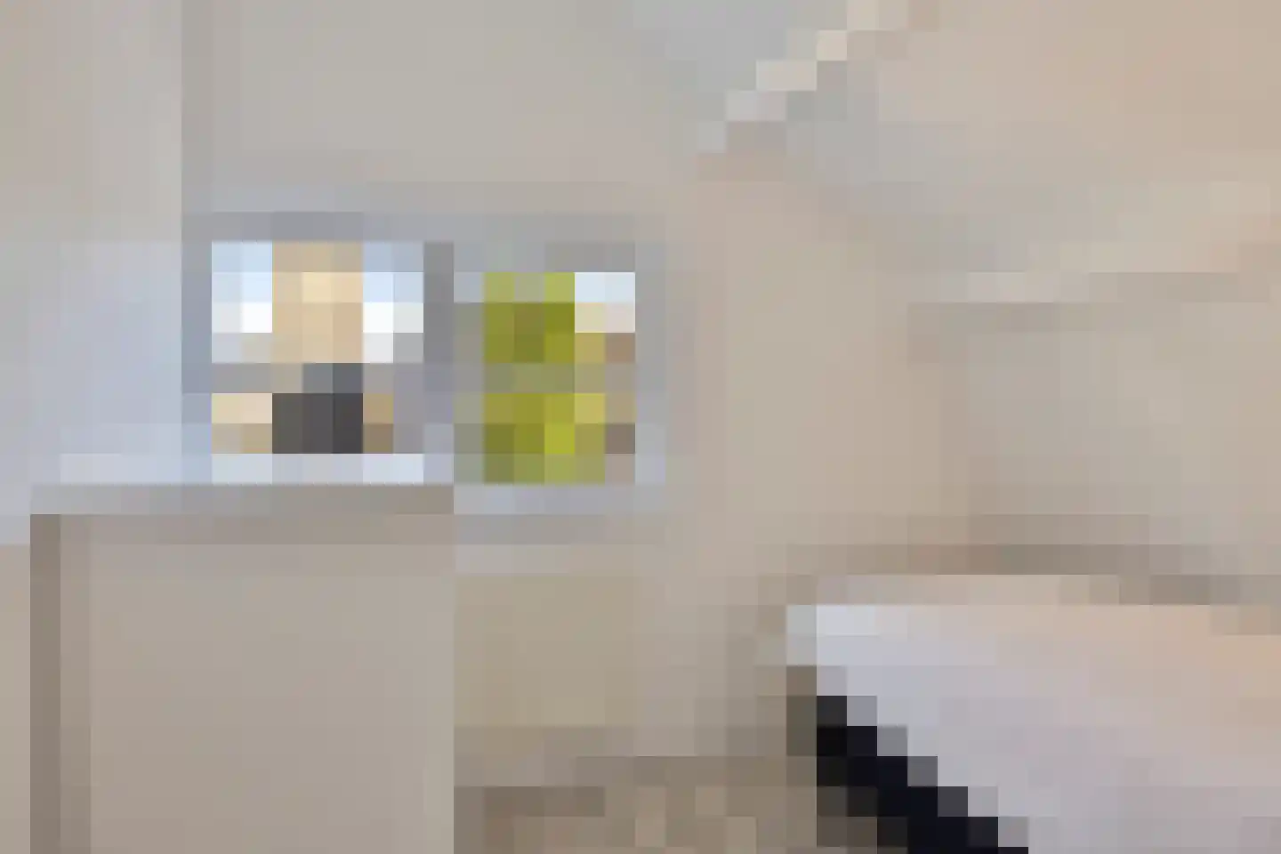 Botervatsteeg 8 Kampen thumbnail 36