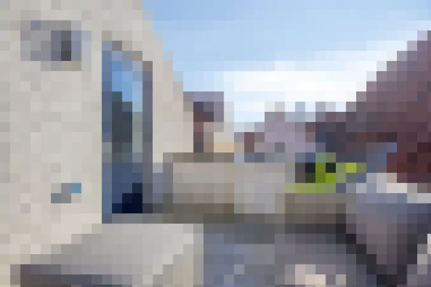Botervatsteeg 8 Kampen thumbnail 43
