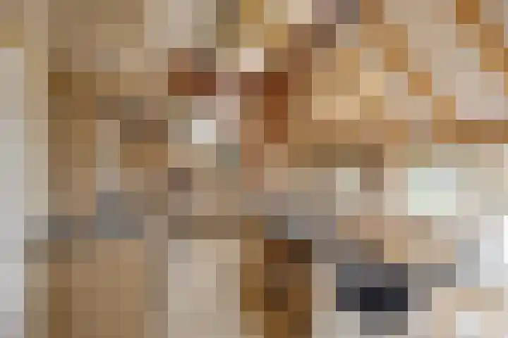 Boterveen 13 Dwingeloo thumbnail 12