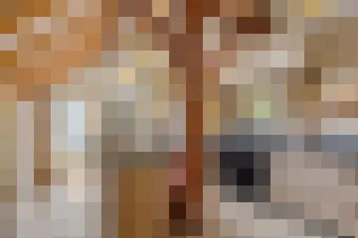Boterveen 13 Dwingeloo thumbnail 13