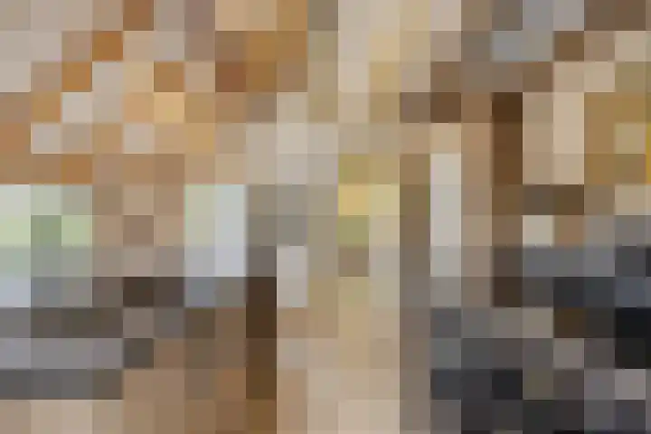 Boterveen 13 Dwingeloo thumbnail 14