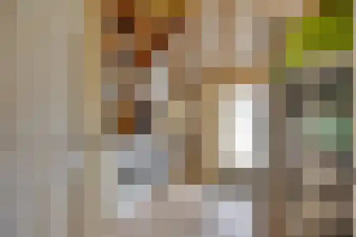 Boterveen 13 Dwingeloo thumbnail 17