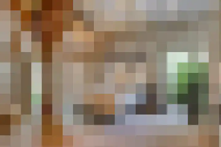 Boterveen 13 Dwingeloo thumbnail 20