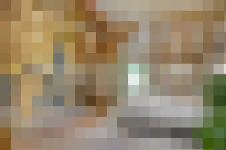 Boterveen 13 Dwingeloo thumbnail 21