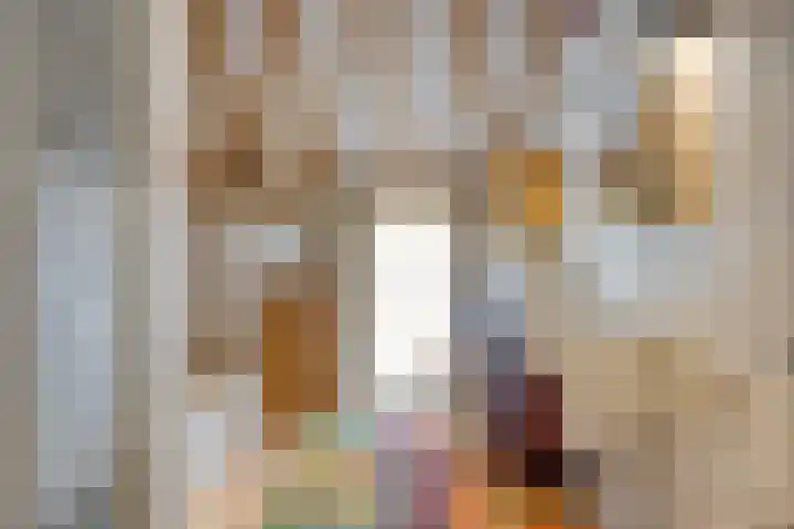Boterveen 13 Dwingeloo thumbnail 22