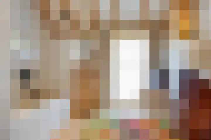 Boterveen 13 Dwingeloo thumbnail 23