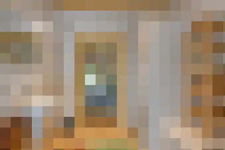 Boterveen 13 Dwingeloo thumbnail 24