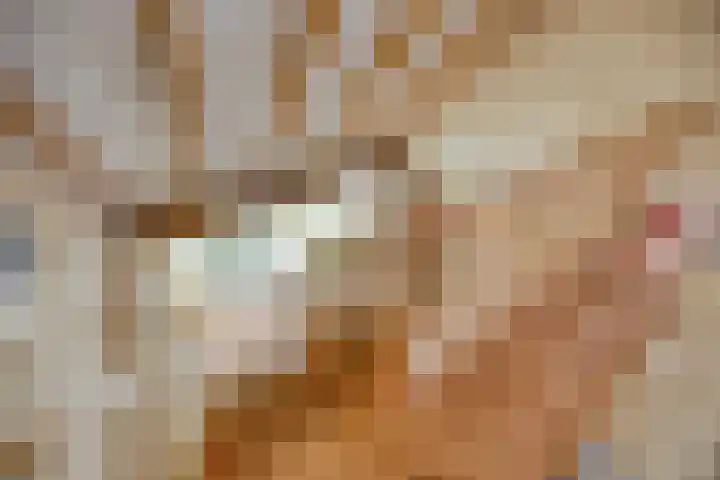 Boterveen 13 Dwingeloo thumbnail 26