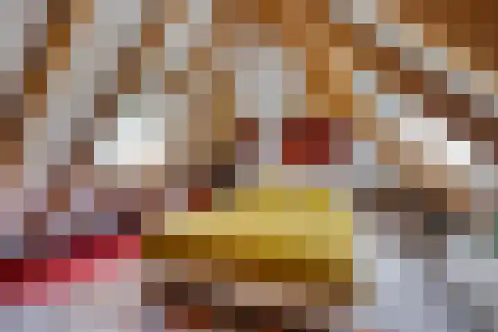 Boterveen 13 Dwingeloo thumbnail 28