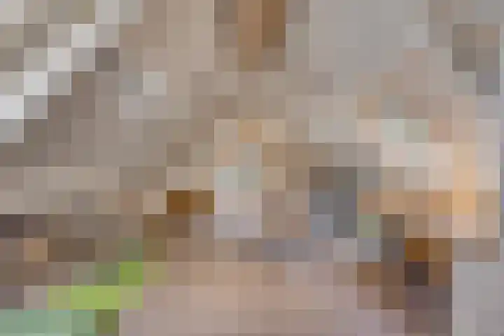 Boterveen 13 Dwingeloo thumbnail 30
