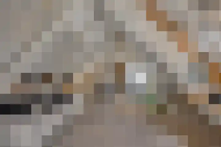 Boterveen 13 Dwingeloo thumbnail 31