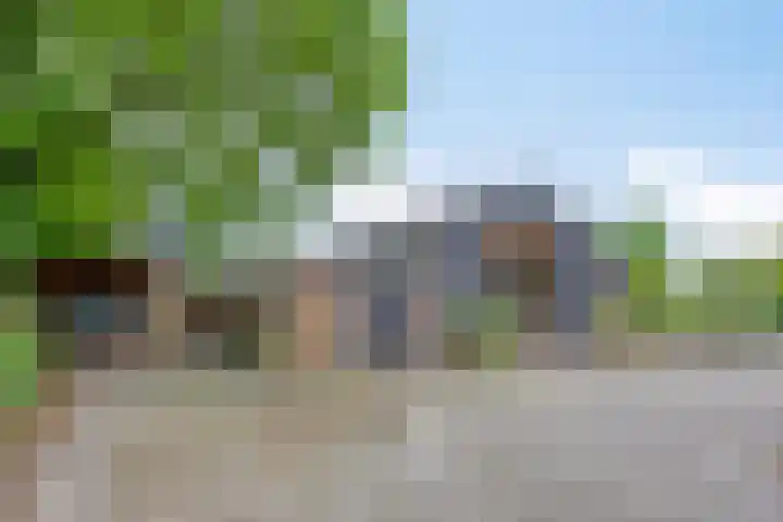 Boterveen 13 Dwingeloo thumbnail 33
