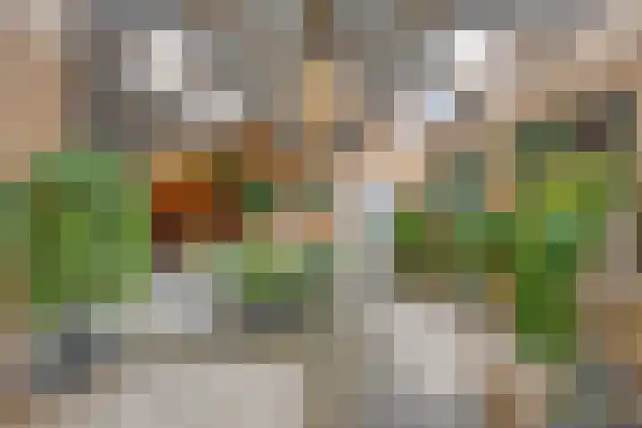 Boterveen 13 Dwingeloo thumbnail 35