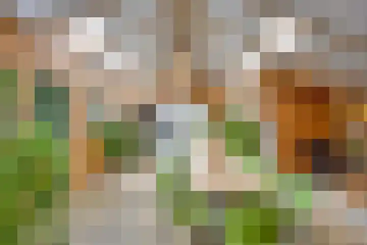 Boterveen 13 Dwingeloo thumbnail 36