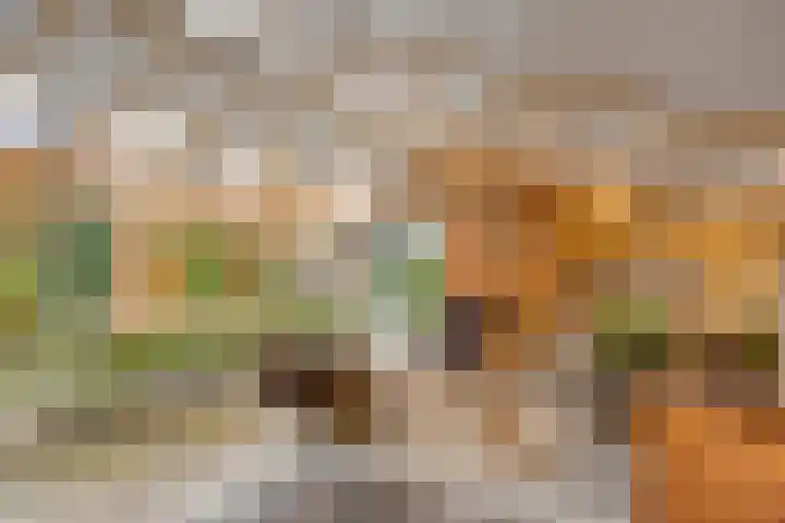 Boterveen 13 Dwingeloo thumbnail 37