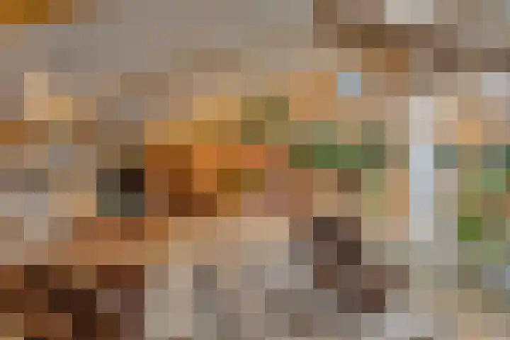 Boterveen 13 Dwingeloo thumbnail 38
