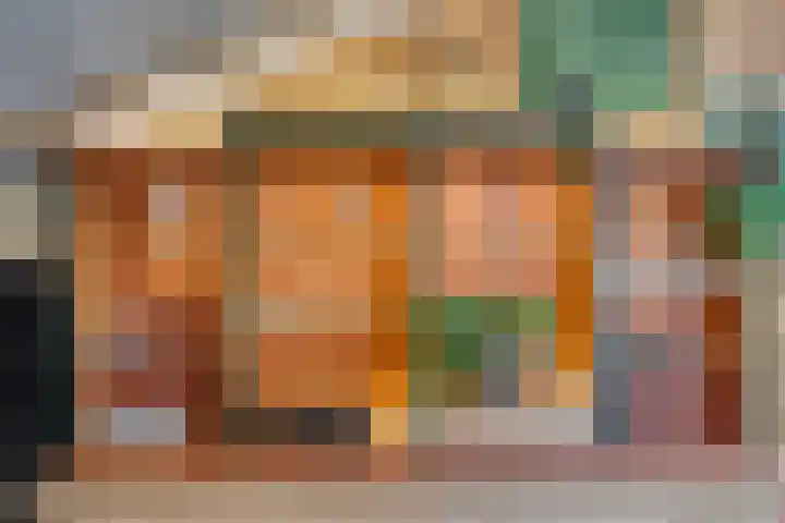 Boterveen 13 Dwingeloo thumbnail 39