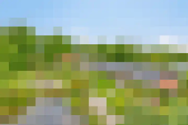 Boterveen 13 Dwingeloo thumbnail 4