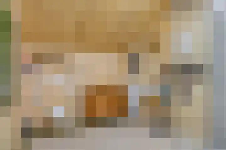 Boterveen 13 Dwingeloo thumbnail 41