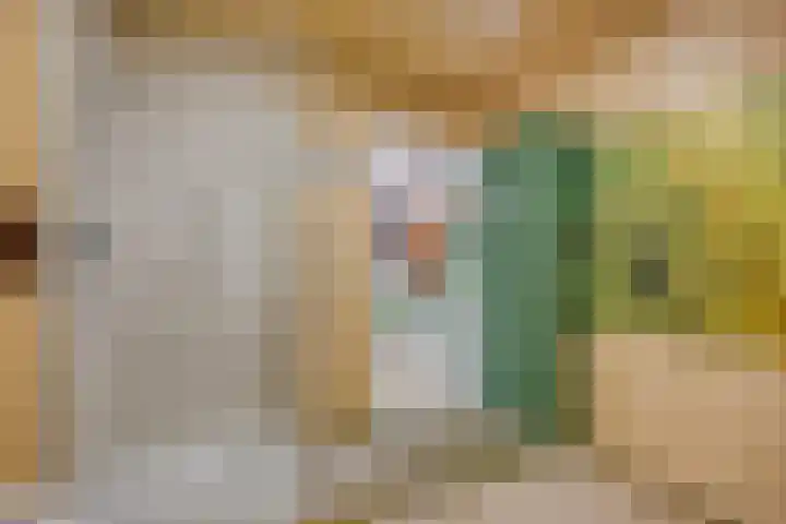 Boterveen 13 Dwingeloo thumbnail 42