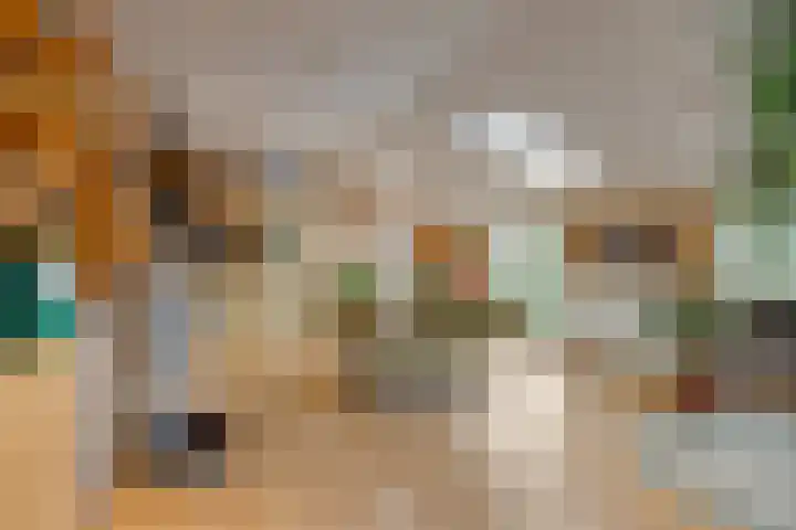 Boterveen 13 Dwingeloo thumbnail 44