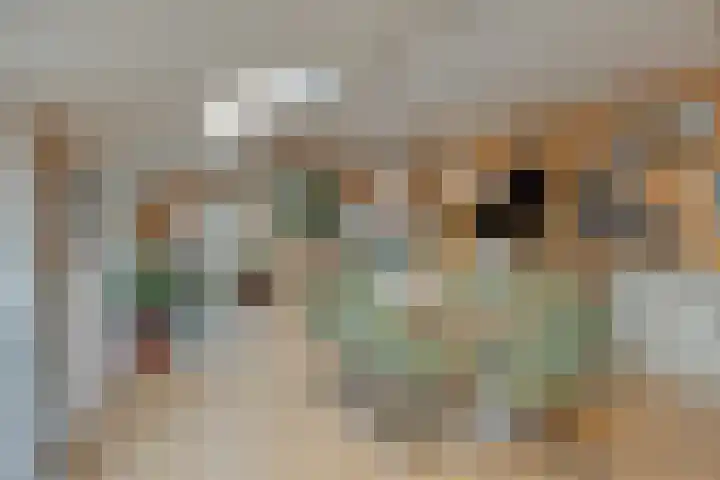 Boterveen 13 Dwingeloo thumbnail 45