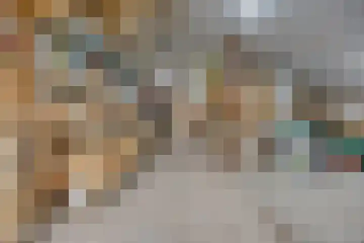 Boterveen 13 Dwingeloo thumbnail 46