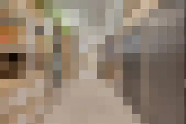 Boterveen 13 Dwingeloo thumbnail 47