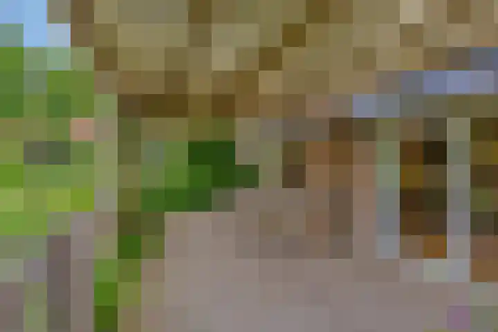 Boterveen 13 Dwingeloo thumbnail 48