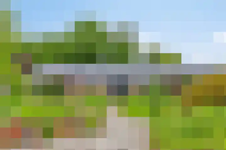 Boterveen 13 Dwingeloo thumbnail 49