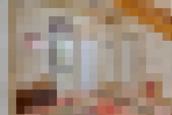 Boterveen 13 Dwingeloo thumbnail 5