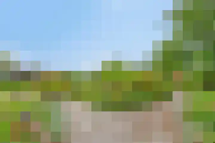Boterveen 13 Dwingeloo thumbnail 50