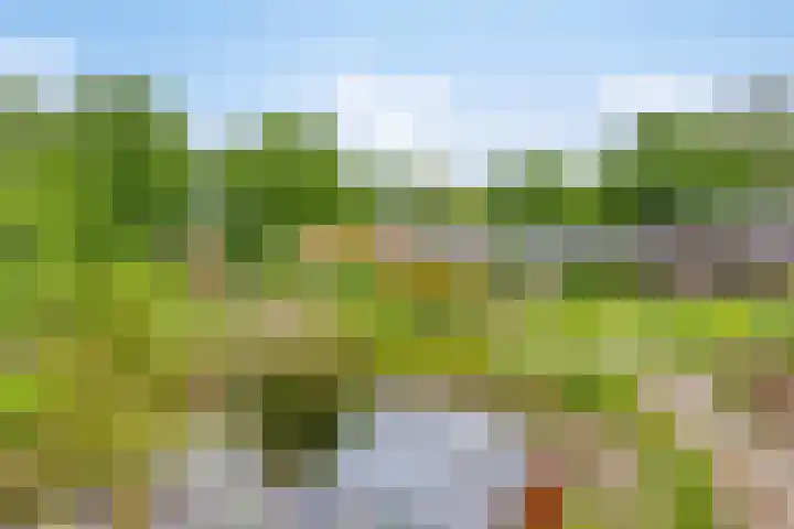 Boterveen 13 Dwingeloo thumbnail 51