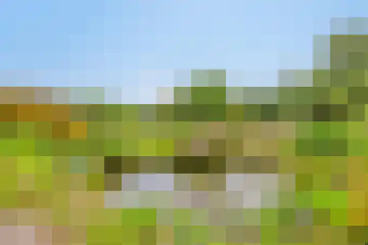 Boterveen 13 Dwingeloo thumbnail 52