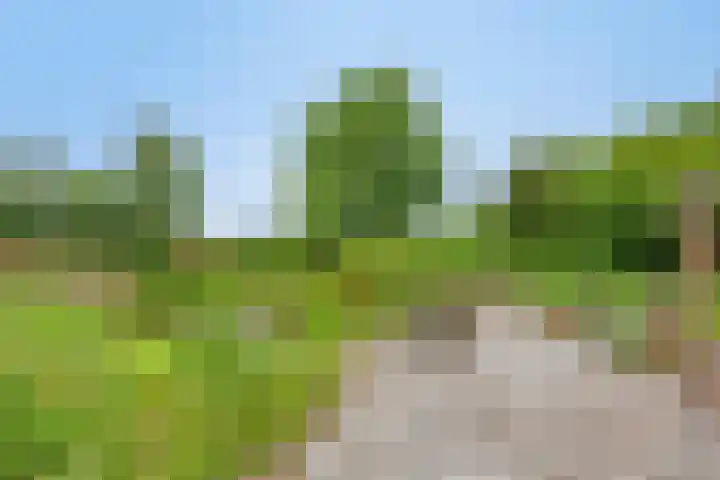 Boterveen 13 Dwingeloo thumbnail 53