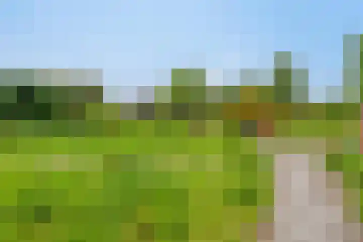 Boterveen 13 Dwingeloo thumbnail 54