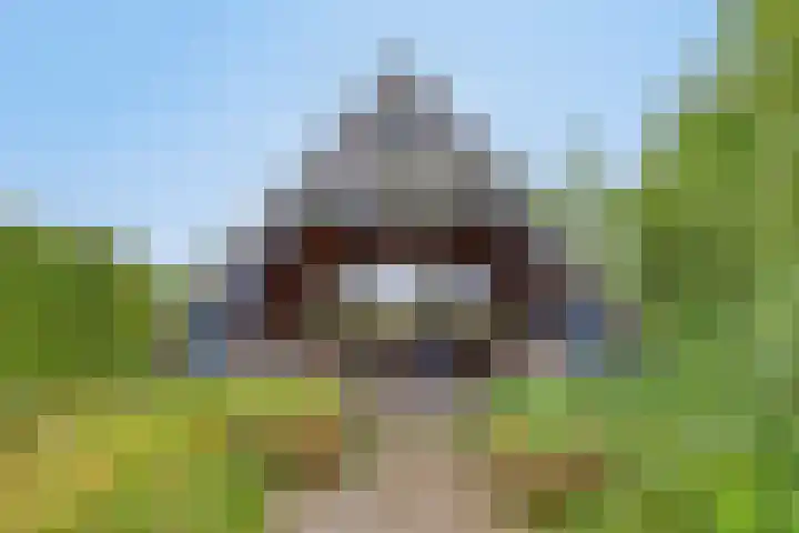 Boterveen 13 Dwingeloo thumbnail 56