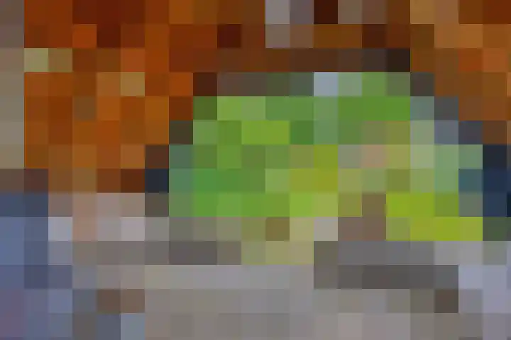 Boterveen 13 Dwingeloo thumbnail 57