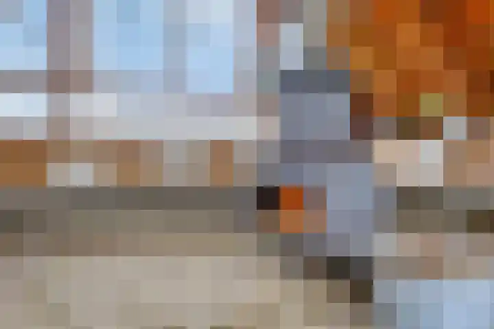 Boterveen 13 Dwingeloo thumbnail 58