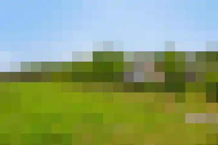 Boterveen 13 Dwingeloo thumbnail 59