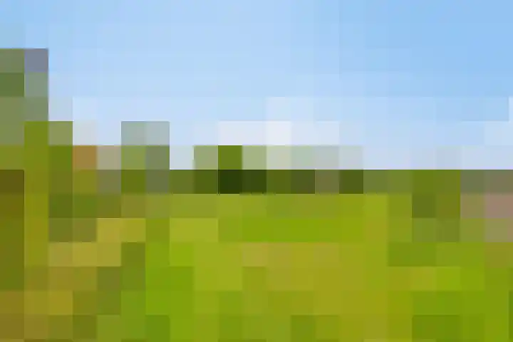 Boterveen 13 Dwingeloo thumbnail 60