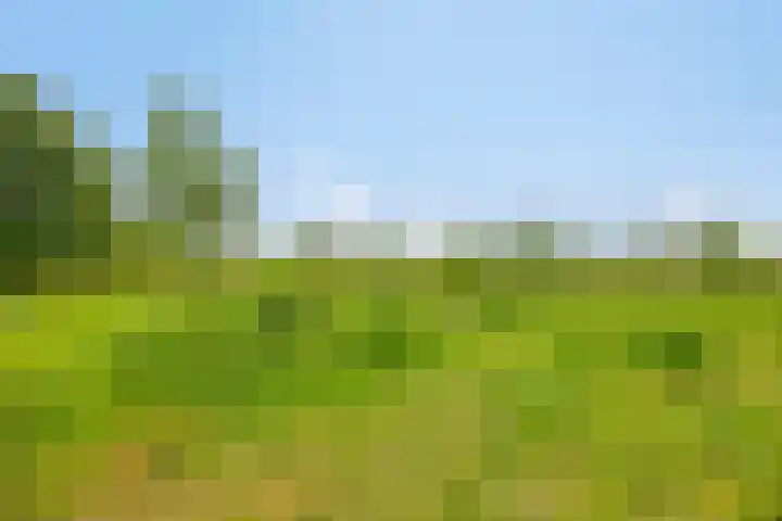 Boterveen 13 Dwingeloo thumbnail 61